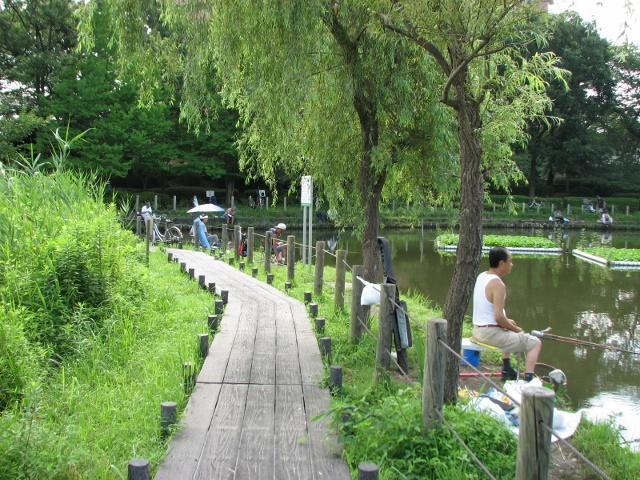 公園で釣り 川口自然公園 気ままな散歩